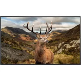 Papermoon Infrarotheizung Hirsch in Landschaft, sehr angenehme Strahlungswärme bunt