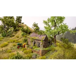 Vergessener Ort Gebäuderuine Modell von Noch 1:87