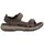 Teva Langdon walnut 44,5