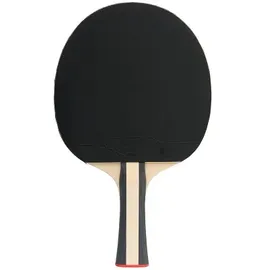 Sport-Thieme Advanced