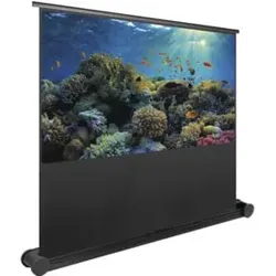 Magnetoplan Leinwand Mobil de Luxe, 2000 x 1500 mm, 4:3