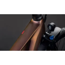 Cube Kathmandu Hybrid Pro 800 RH 62 cm Diamant sunglow´n´chrome