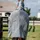 Horseware Rambo Protector Fieldsafe Plus Pferdedecke 160 cm beige