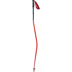 Swix WC Pro Downhill (000) 110cm