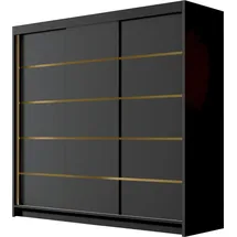 Mirjan24 Schiebetürenschrank Evo VII 200 x 215 x 58 cm Schwarz