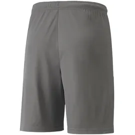 Puma teamLIGA Shorts Herren 13 smoked pearl/white XXL