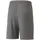 Puma teamLIGA Shorts Herren 13 smoked pearl/white XXL