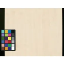Geramöbel Regal 800 x 42 x 110,4 cm Braun