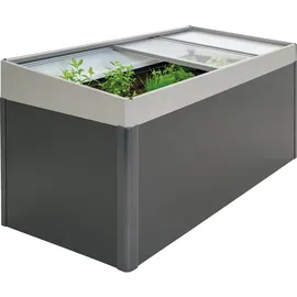 Biohort Frühbeetaufsatz 200 x 23 x 101 cm Quarzgrau