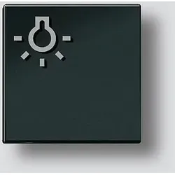 SIEDLE Licht-Taste sw-hgl 200029978-00