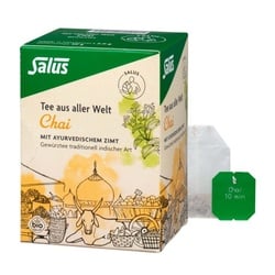 Salus Chai Kräutertee-Spezialität bio (15Btl)