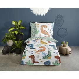 Muller Textiles Bettwäsche Dino 135 x 200 cm Renforce Bunt