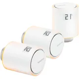 Netatmo Heizkörperthermostat 3er Set