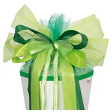 ROTH XXL Schultütenschleife Green Spirit,