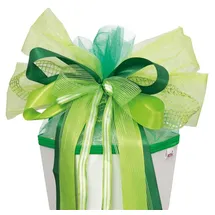 ROTH XXL Schultütenschleife Green Spirit,