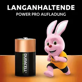 Duracell Akku D 3000 mAh 2 St.