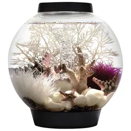 biorb® biOrb CLASSIC 15 LED schwarz