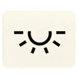 JUNG Symbol 33L Licht