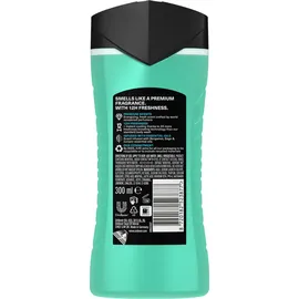 Axe Fine Fragrance Collection Aqua Bergamotte Duschgel 6 x 300 ml