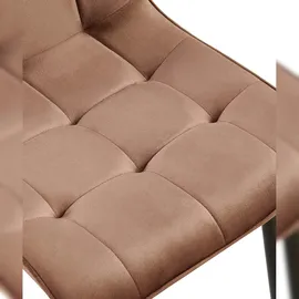 CLP 2er Set Esszimmerstuhl Gifford Samtbezug I Küchenstuhl mit Rückenlehne