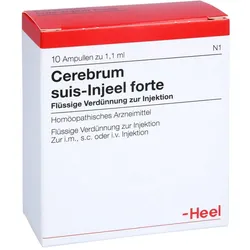 Cerebrum suiss-Injeel forte
