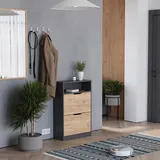 Vicco Luca 59 x 90 x 22 cm mit 2 Fächern und 2 Schubladen / Anthrazit/Goldkraft Eiche