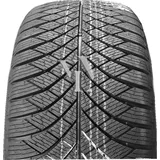 Nankang Cross Seasons AW-6 XL