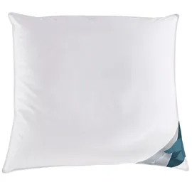 Haeussling 3-Kammer-Kopfkissen »Kuscheltraum, Kissen mit Hausstaub- & Milbenbarriere«, Füllung: Außenkammern mit 60% Daunen, 40% Federn, Bezug: 100% Baumwolle, (1 St.), Kopfkissen 40x80 cm, 80x80cm, Made in Germany weiß