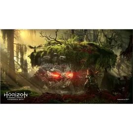 Horizon Forbidden West (USK) (PS5)