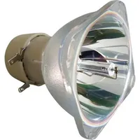 Philips Beamerlampe (nur Leuchtmittel) für BENQ (ersetzt: 5J.JA105.001)