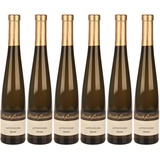 6x Spätburgunder Eiswein, 2018 - Weingut Bischofsmühle, Rheinhessen! Wein