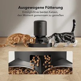 PETLIBRO PL-AF-203-96B GRANARY CAMERA DUAL FOOD TRAY SCHWARZ Automatischer Futterspender