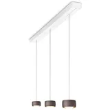 Oligo Grace LED Pendelleuchte mit unsichtbarer Höhenverstellung 3-flammig (weiß,... weiß | brazilian brown
