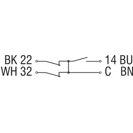 Schmersal Sensor BNS 250-12z