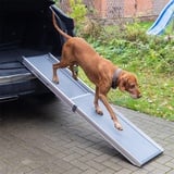 Teleskop-Hunderampe - Auto-Einstiegshilfe für Hunde, Alu