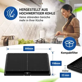 Vioks Aktivkohlefilter Set 2x 300x198mm für Dunstabzugshaube