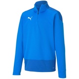 Puma Unisex Kinder, teamGOAL 23 Training 1/4 Zip T Pullover, Electric Blue Lemonade-Team Power Blue, 176