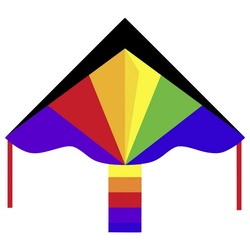 Ecoline Flug-Drache Ecoline Einleiner Drachen Simple Flyer Rainbow Spannweite (Details) 12