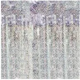 partydeco Hängedekoration Türvorhang Lametta 100x200cm, Holografisch