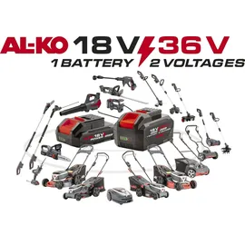 AL-KO Doppel-Ladegerät C300,6 18 V/36 V 2 Stück