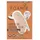 Foamie Kiss Me Argan Festes Shampoo 80 g