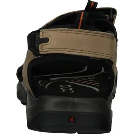 ECCO Offroad Herren nutmeg brown 47
