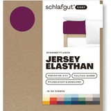 schlafgut Easy Jersey 140 x 200 - 160 x 220 cm purple deep