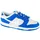 Nike Dunk Low Herren Blau/Grau/Weiß 45