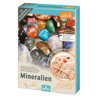 Moses Expedition Natur Das große Mineralien-Ausgrabungs-Set