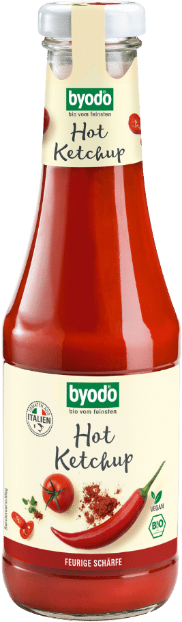 Preisvergleich Produktbild BYODO Hot Ketchup 500ml Bio