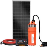 DCHOUSE Solar Tiefbrunnenpumpen,12V Solar WasserPumpe +100W Solar Panel Kit + 20A Laderegler, für Brunnen, Bewässerung, Füllwassertank - LIEFERUNG IN 2 PAKETEN