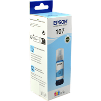 Epson Tinte C13T09B540 107 light cyan