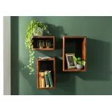 MASSIVMOEBEL24.DE Wandregal Set 45 x 20 x 30 cm Dunkelbraun