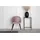 venture home Esszimmerstuhl Velvet Samt schwarz/pink 2er Set